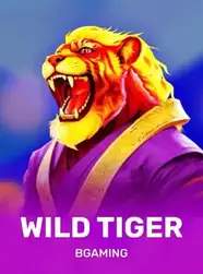 Wild Tiger, pokie by BGaming at Dazard